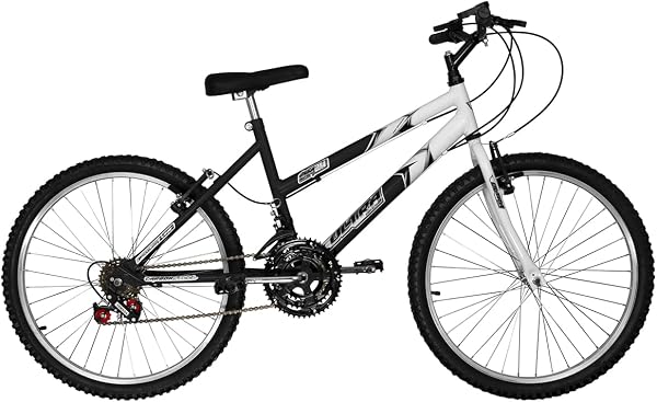 Bicicleta Feminina Saidx Aro 26 18 Marchas Passeio