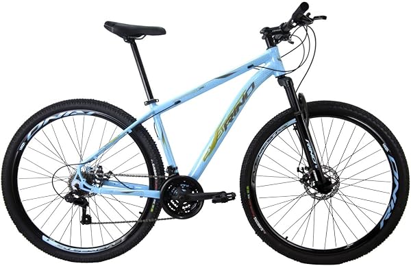 Bicicleta MTB Aro 29 Alumínio Câmbio Indexado Freio a Disco